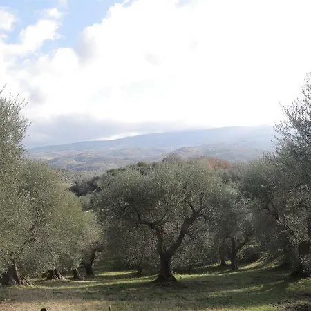 S. Andrea * Montegiovi